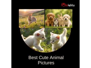 best-cute-animal-pictures-by-fotolobby-small-0
