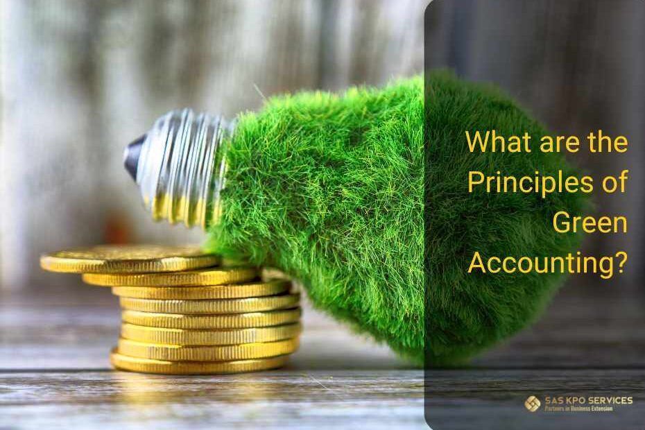 what-are-the-principles-of-green-accounting-big-0