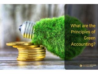 what-are-the-principles-of-green-accounting-small-0