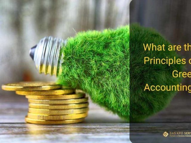 what-are-the-principles-of-green-accounting