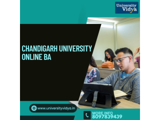 chandigarh-university-online-ba-elite-liberal-arts-small-0