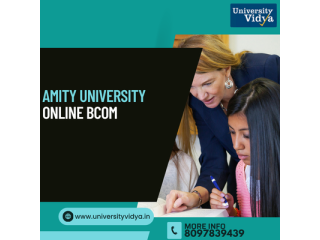 amity-university-online-bcom-elite-global-commerce-small-0
