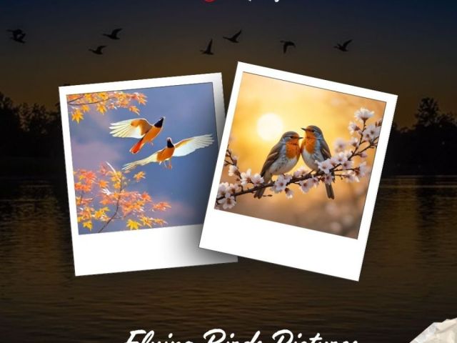 flying-birds-pictures-by-fotolobby