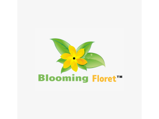 beautiful-planters-for-indoor-plants-blooming-floret-small-0