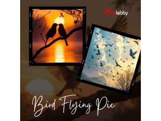 bird-flying-pic-by-fotolobby-small-0