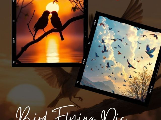 bird-flying-pic-by-fotolobby
