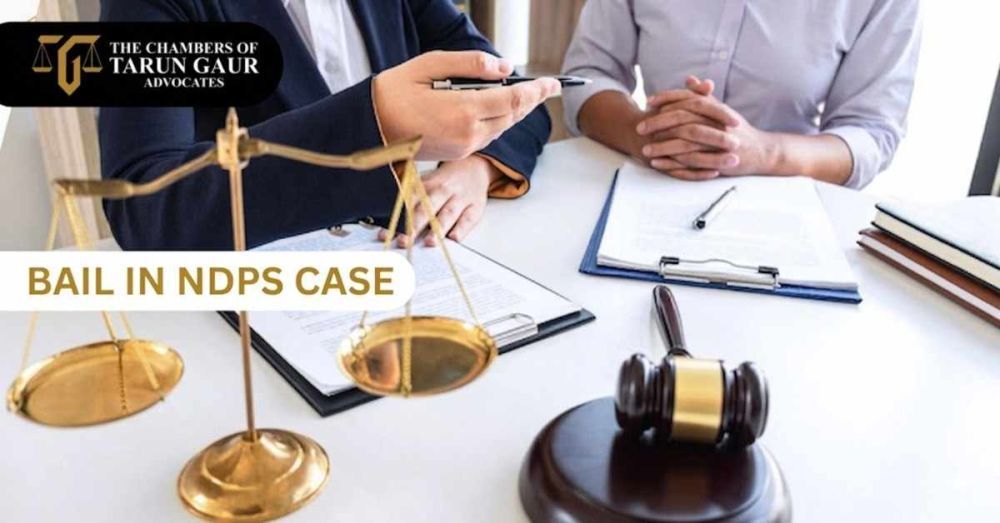 bail-in-ndps-case-information-on-conditions-legal-process-big-0