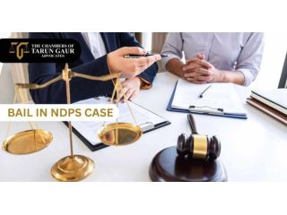 bail-in-ndps-case-information-on-conditions-legal-process-small-0