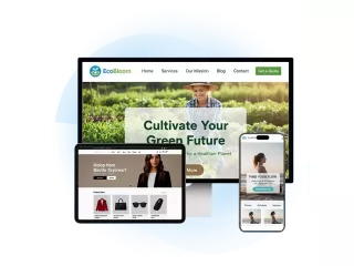 hire-wordpress-expert-in-india-small-0