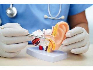 leading-ent-hospital-in-gandhinagar-small-0