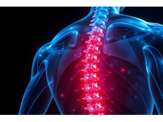 orthopedic-spine-specialist-for-back-pain-care-dr-rakesh-dhake-small-0
