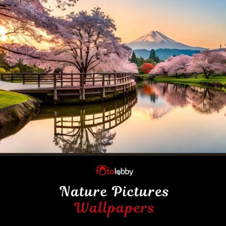 nature-pictures-wallpapers-by-fotolobby-big-0