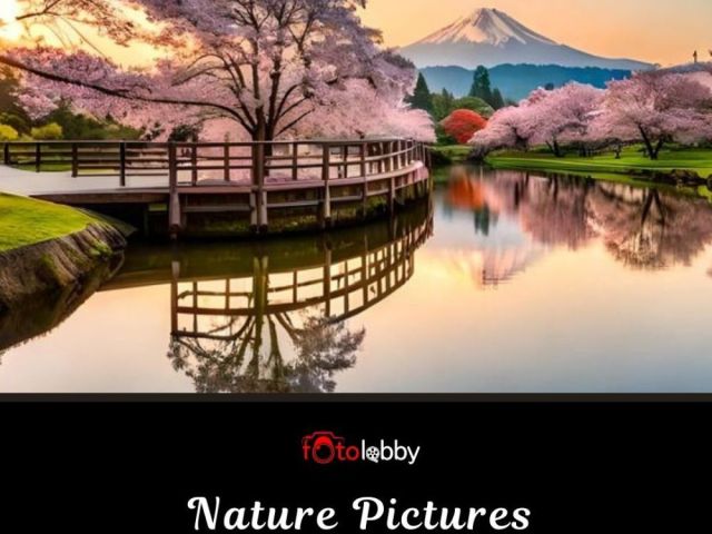 nature-pictures-wallpapers-by-fotolobby