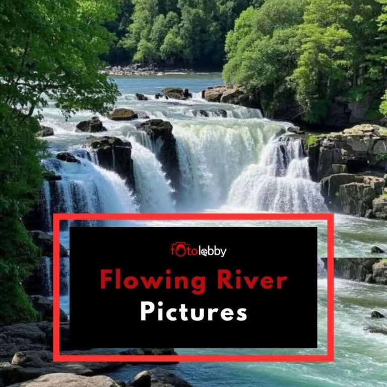 flowing-river-pictures-by-fotolobby-big-0