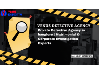 venu-detective-agency-trusted-investigation-services-small-0
