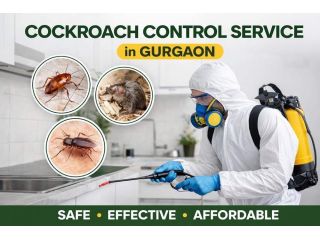 expert-cockroach-control-service-in-gurgaon-safe-pest-removal-small-0