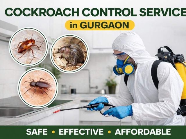 expert-cockroach-control-service-in-gurgaon-safe-pest-removal