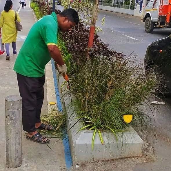why-mumbai-residents-book-gardener-online-with-greenlands-big-0