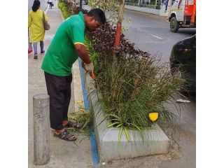 why-mumbai-residents-book-gardener-online-with-greenlands-small-0