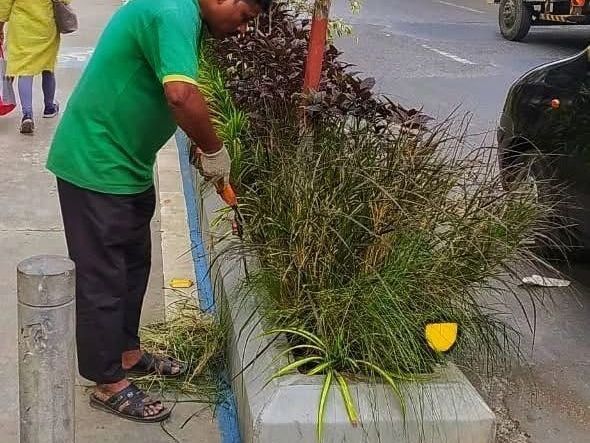 why-mumbai-residents-book-gardener-online-with-greenlands