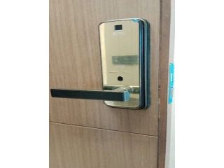 discover-the-best-electronic-door-locks-in-india-small-0