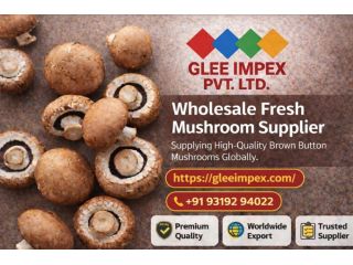 best-mushroom-exporter-in-india-glee-impex-pvt-ltd-small-0