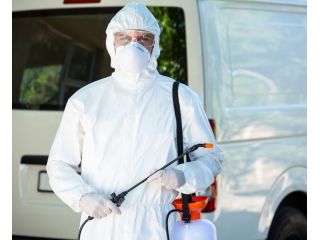 professional-pest-control-services-in-ghaziabad-small-0