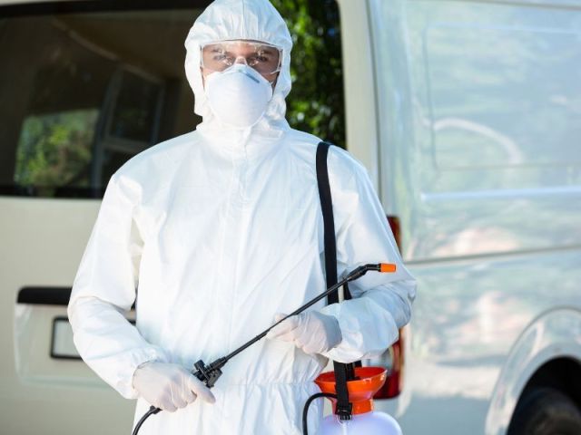 professional-pest-control-services-in-ghaziabad