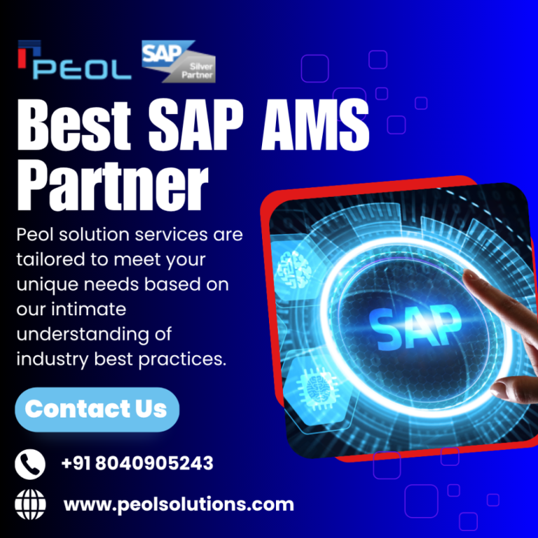 sap-ams-partner-in-bangalore-big-0