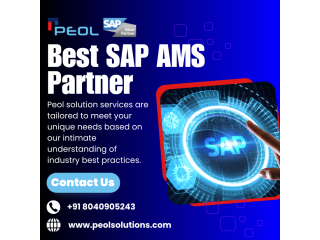 sap-ams-partner-in-bangalore-small-0