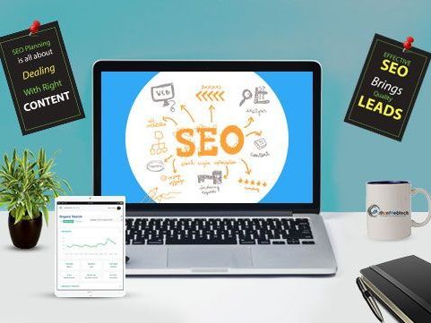 best-seo-company-in-india-grow-your-business-online
