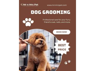 pet-grooming-service-at-home-in-amritsar-small-0