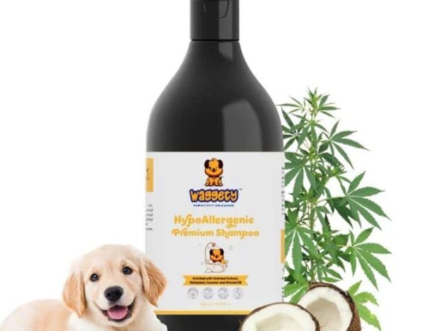 oatmeal-dog-shampoo-for-gentle-skin-care-waggety