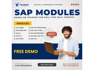 learn-sap-technologies-with-industry-experts-at-visualpath-small-0