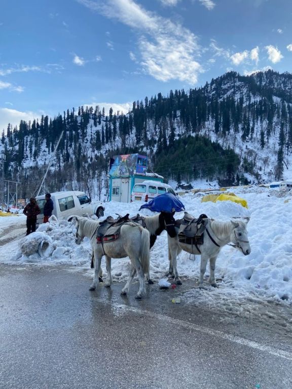complete-manali-tour-package-from-chandigarh-big-0