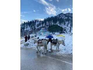 complete-manali-tour-package-from-chandigarh-small-0