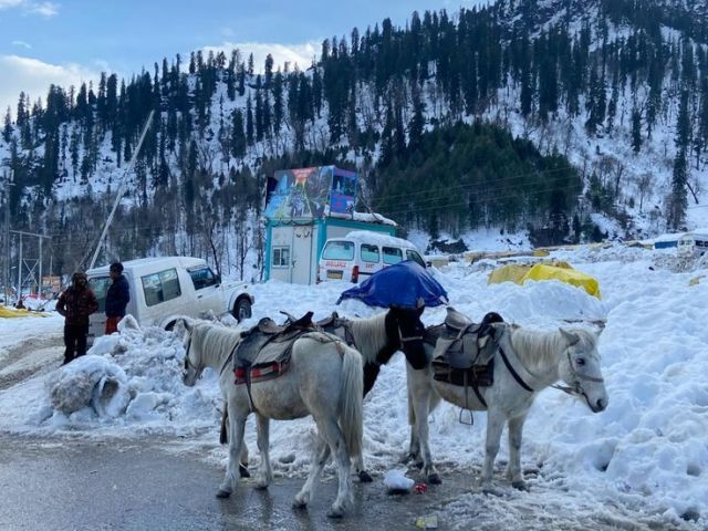 complete-manali-tour-package-from-chandigarh