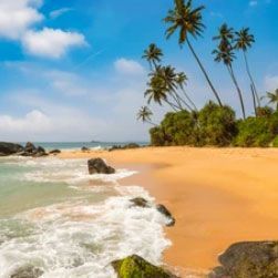 exclusive-srilanka-package-tour-from-kolkata-big-3