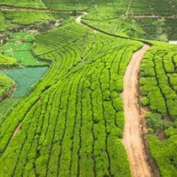 exclusive-srilanka-package-tour-from-kolkata-big-1