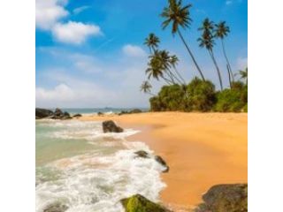 exclusive-srilanka-package-tour-from-kolkata-small-3