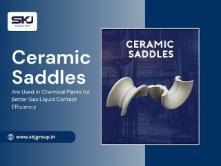 ceramic-saddles-for-tower-packing-small-0