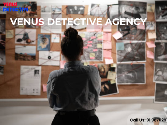 need-a-trustworthy-detective-agency-in-delhi