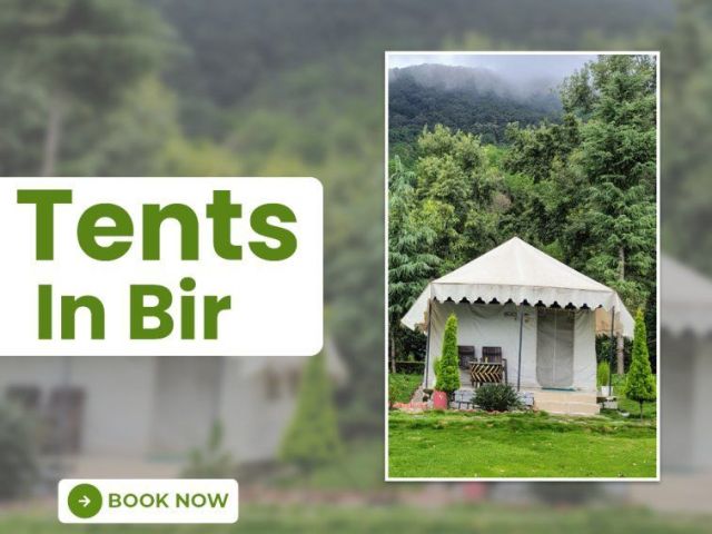 tents-in-bir-for-scenic-and-relaxing-stay