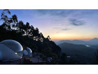best-honeymoon-resorts-in-munnar-luxeglamp-small-3