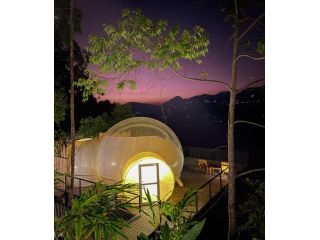 best-resorts-in-munnar-top-resorts-in-munnar-small-3