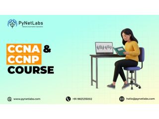 get-job-ready-skills-with-expert-led-ccna-and-ccnp-course-small-0
