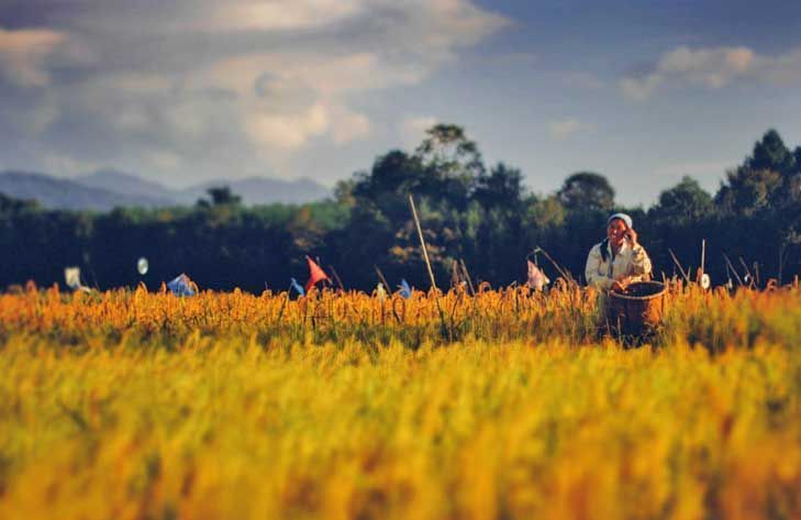affordable-bangalore-to-guwahati-package-tour-big-2