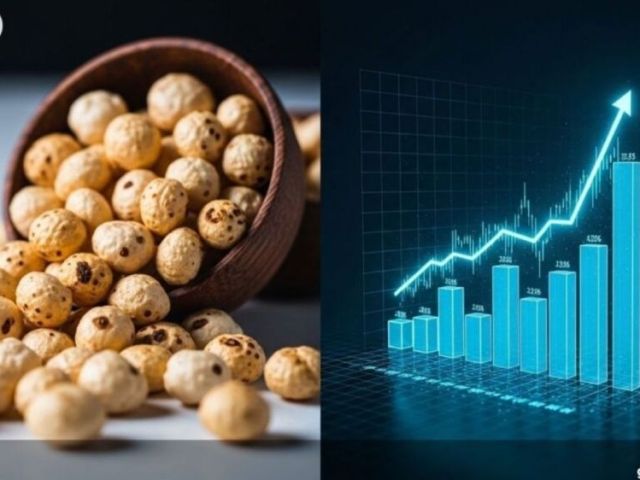 reliable-makhana-exporter-in-india-for-global-buyers