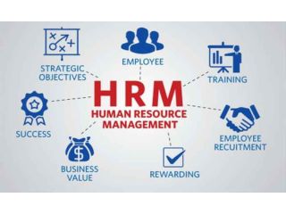 top-erp-software-solutions-to-automate-and-accelerate-small-0