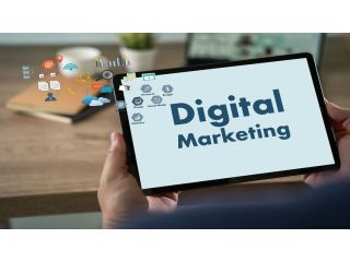 digital-marketing-company-in-india-traficxo-small-0